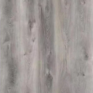 northern-gray-max-plank-collection
